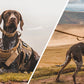 Tactical Military Dog Harness & Leash Set