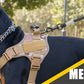 Tactical Dog Training Harness