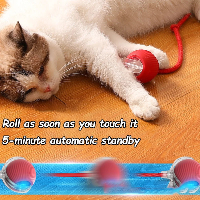 Automatic Rolling Cat Toy Ball with Faux Tail